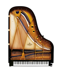 Alternative view of C. Bechstein B212 Parlor Grand Piano
