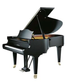 C. Bechstein A192
