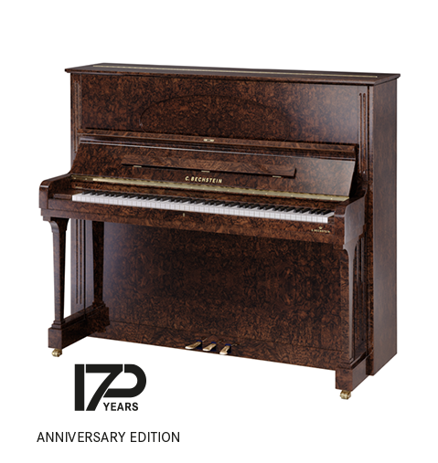 C. Bechstein Concert 6 Upright Piano - Image 7