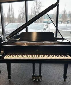Steinway M Grand Piano Front Angle
