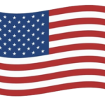 small US flag icon