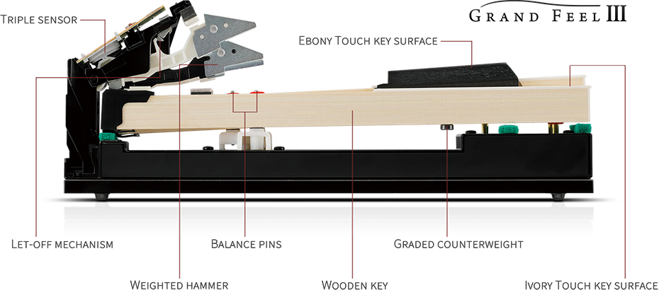 Kawai Grand Feel III Action Sample