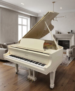 Used Boston GP163 II in Ivory Polish (White)