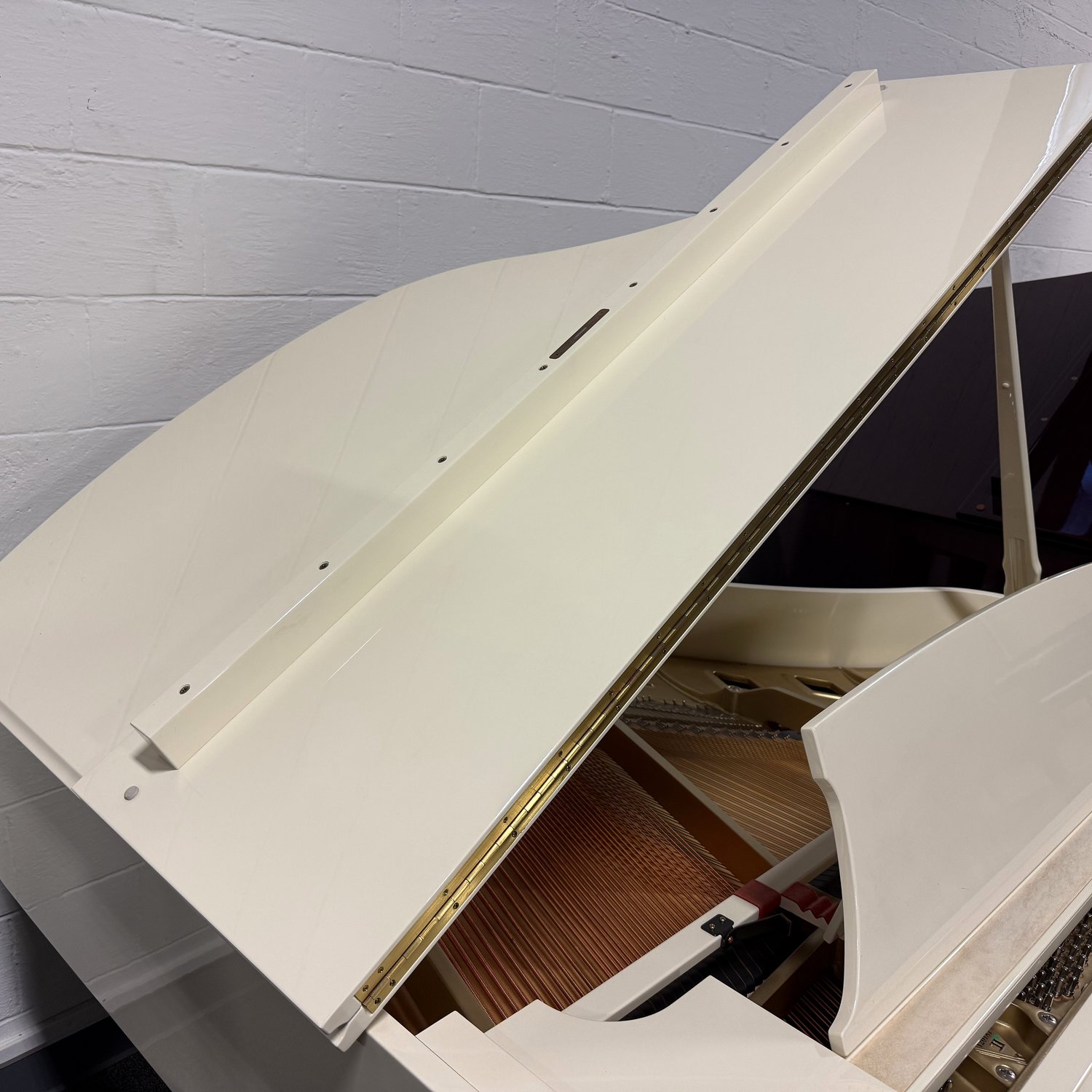 Used Boston GP163 II in Ivory Polish (White)