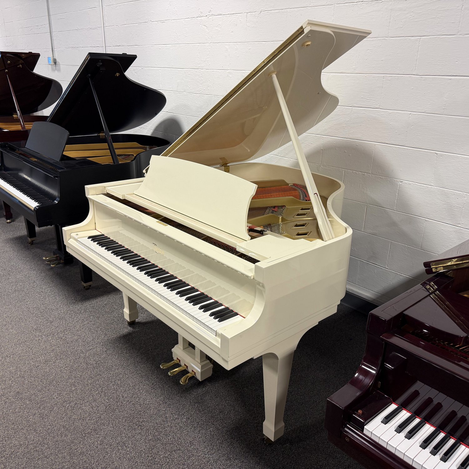 Used Boston GP163 II in Ivory Polish (White)