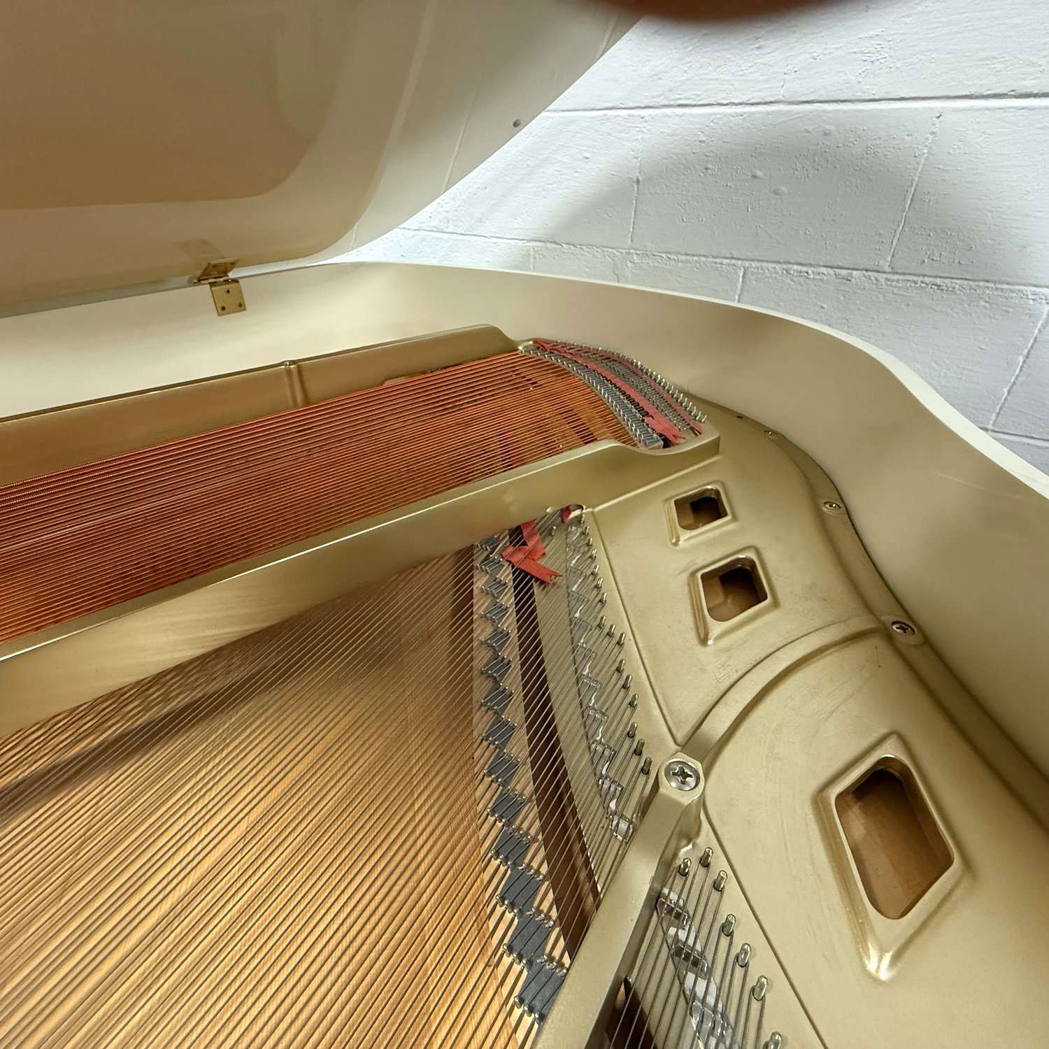 Used Boston GP163 II in Ivory Polish (White)