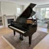 Used Hamilton H399 in Ebony Polish