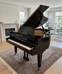 Used Hamilton H399 in Ebony Polish