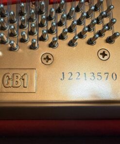 Used Yamaha GB1 in Mahogany Polish